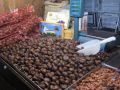 Foto Viaggio a Montella - 16 novembre 2011